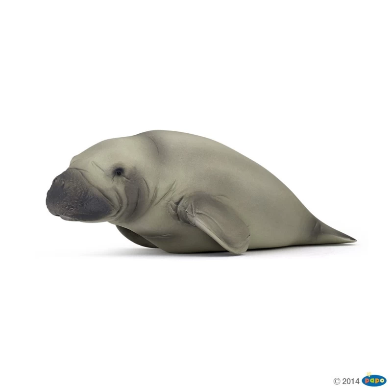 Zeekoe Manatee Papo 56015 1 Zeekoe Manatee Papo 56015