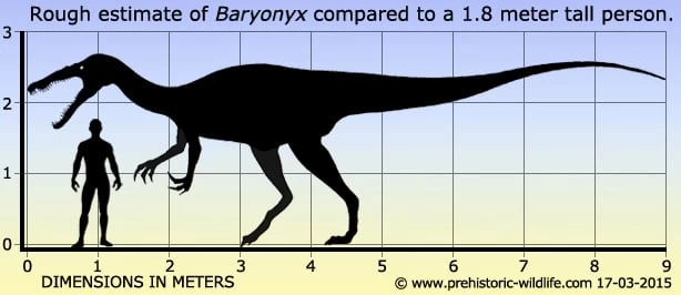 Baryonyx CollectA 88872 2 Baryonyx CollectA 88872 - Afbeelding 2
