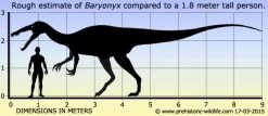Baryonyx Papo 55054 -Dierenmodel Speelgoed Winkel 469d01e7c6dd903ca02207bd3f1a3a56a5214445 2