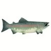 Zalm S100205