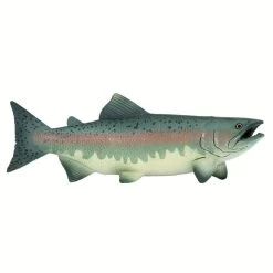 Zalm S100205