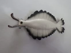 Anomalocaris (Cambrium) -Dierenmodel Speelgoed Winkel 4739794a72fcd5560b6728273c1850aee4cc8f75