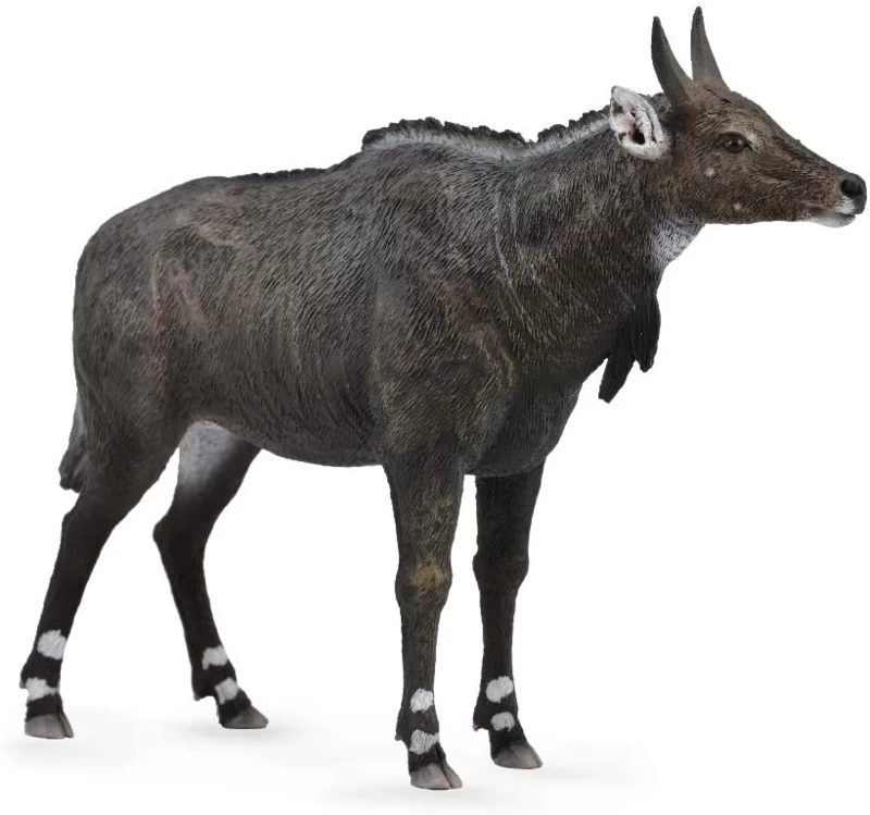 Nijlgau Nilgai CollectA 88764 1 Nijlgau Nilgai CollectA 88764