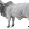 Brahman Rund CollectA 88580