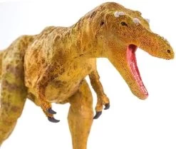 Qianzhousaurus Safari 100352 -Dierenmodel Speelgoed Winkel 4cec5698017c3df34418887de71ddea9e514467f