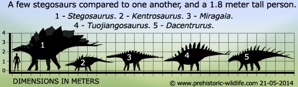 Stegosaurus Papo 55079 3 Stegosaurus Papo 55079 - Afbeelding 3