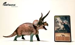 Triceratops Sp. Cryptic | EoFauna