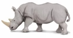 Neushoorn (witte) S270229