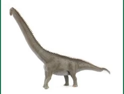 Mamenchisaurus "deluxe" CollectA 88908 7 Mamenchisaurus "deluxe" CollectA 88908 -Dierenmodel Speelgoed Winkel 54b4ddcede34ebee735ecc40b4b2e554fee2f47e