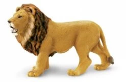 Leeuw S290229