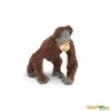 Orangutan Baby S293629