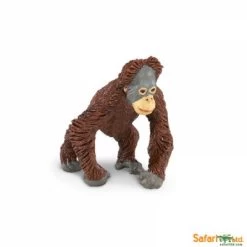 Orangutan Baby S293629