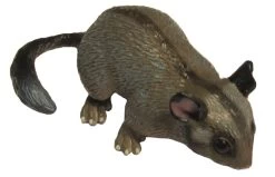 Leadbeater's Possum 75458