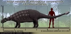 Ankylosaurus Papo 55015 -Dierenmodel Speelgoed Winkel 5ddd8b4d31179059b4f78602d311364053eb74ec 1