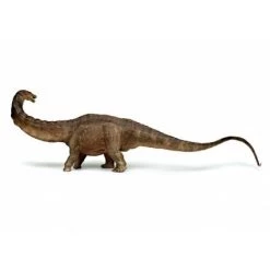 Apatosaurus Papo 55039 -Dierenmodel Speelgoed Winkel 5fe3e415b9ca4eec306044dbcc2db8a2a7c6934d