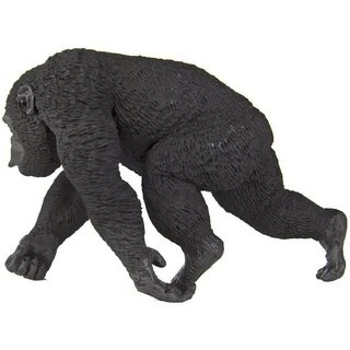 Chimpansee S224729 2 Chimpansee S224729 - Afbeelding 2