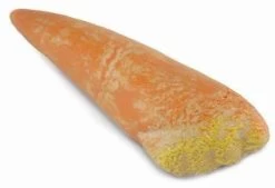 Tand Van Spinosaurus