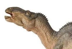 Iguanodon Papo 55071 -Dierenmodel Speelgoed Winkel 685201926738452f755620ff4aaabc11a7f38ffd