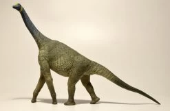 Atlasaurus EoFauna