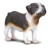 Bulldog CollectA 88179