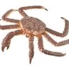King Crab CollectA 88851