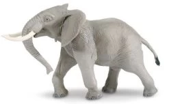 Olifant Afrikaanse Stier S295629