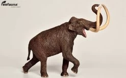 Steppenmammoet Mammuthus Trogontherii EoFauna 6 Steppenmammoet Mammuthus Trogontherii EoFauna -Dierenmodel Speelgoed Winkel 6d59c5419997350d0aed5ae9fcfcee0bf7f9a66c