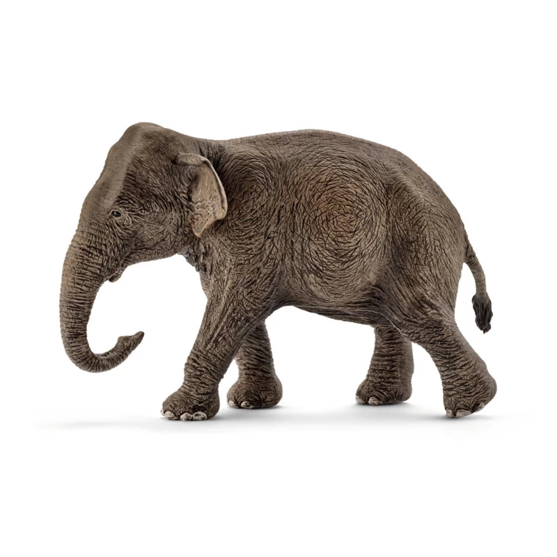 Olifant Aziatisch Vrouwtje Schleich 14753 1 Olifant Aziatisch Vrouwtje Schleich 14753