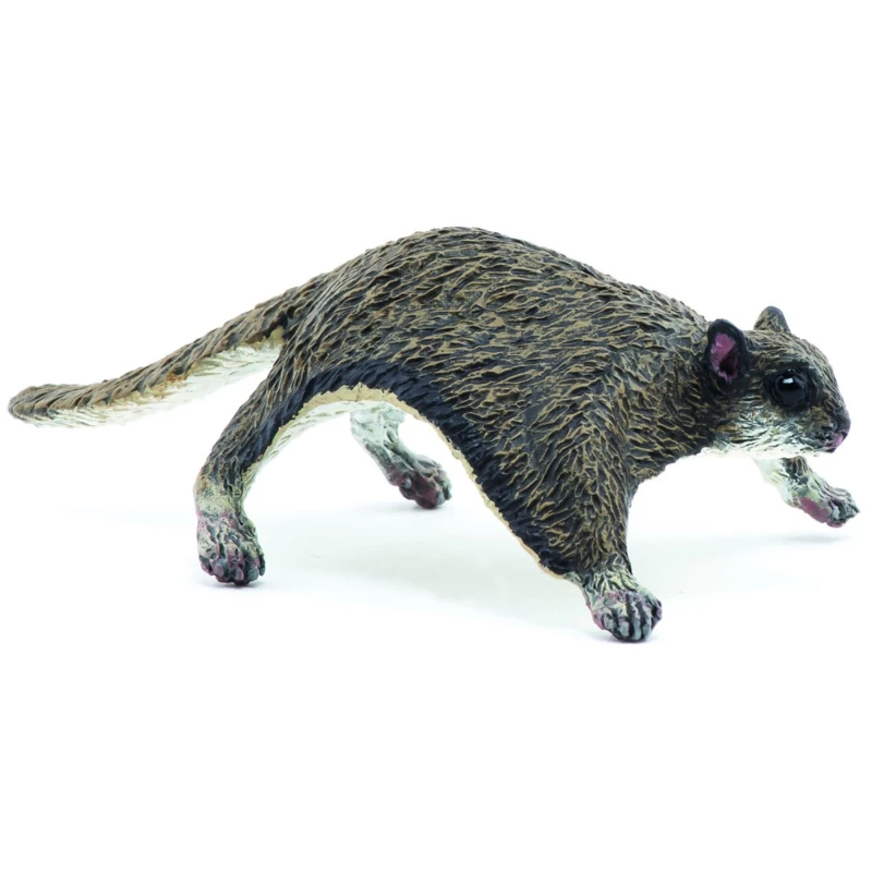 Vliegende Eekhoorn Papo 50296 1 Vliegende Eekhoorn Papo 50296