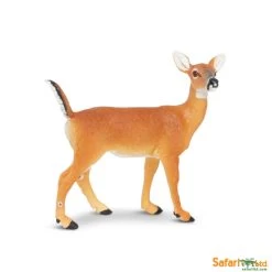 Witstaart Hert S180129