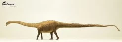 Diplodocus | EoFauna Nu Leverbaar