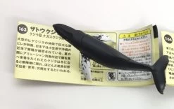 Bultrug Humpback (Kaiyodo)