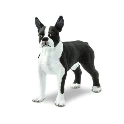 Boston Terrier Safari 255029