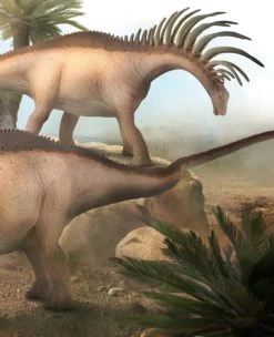 Bajadasaurus CollectA 88883 -Dierenmodel Speelgoed Winkel 762a3652696a4d1a4fe821b64d4e6314151f9ab9