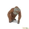 Orangutan Man S292929