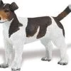 Jack Russell Terrier Safari 254229