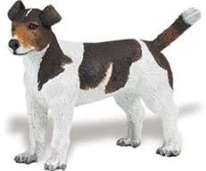 Jack Russell Terrier Safari 254229