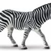 Zebra XXL S111489