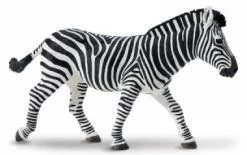 Zebra XXL S111489
