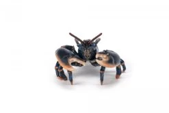 Kreeft (zee-) Papo 56052 -Dierenmodel Speelgoed Winkel 7918696e731b300598856db4b4a8e1fe34a336cc