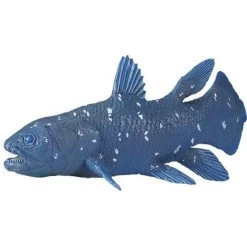 Coelacanth S285729 -Dierenmodel Speelgoed Winkel 7aeb25b8bf7800f7deeea12599aa38896610fb0d
