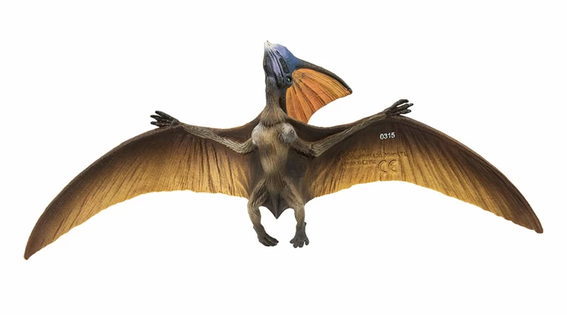 Tapejara Safari 284229 4 Tapejara Safari 284229 - Afbeelding 4