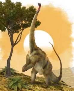 Diplodocus Grijs CollectA 88896 -Dierenmodel Speelgoed Winkel 7c798315efc2c0555673588f2d7f47185de975dd