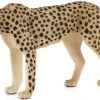 Cheetah Met Jong Mojo 387167