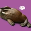 Walrus ZZZ