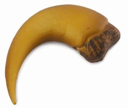 Scheve Duimhaak Van Baryonyx CollectA 89282 1 Scheve Duimhaak Van Baryonyx CollectA 89282