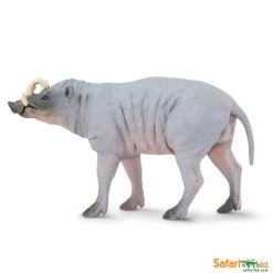 Babirusa S100102