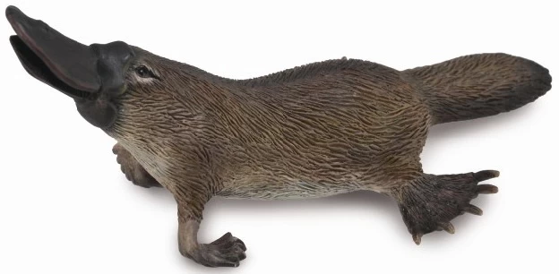 Vogelbekdier CollectA 88795 1 Vogelbekdier CollectA 88795