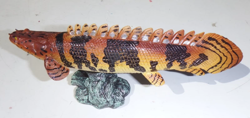 Kwastsnoek Op Standaard 3 Kwastsnoek Op Standaard - Afbeelding 3