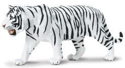 Tijger Witte Siberische S 112089